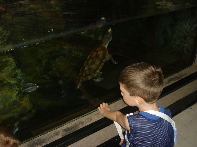 2006/04(Apr)/04(Zoo-Chance-Dax)/640x480_2006-04-08 13-34-08.JPG